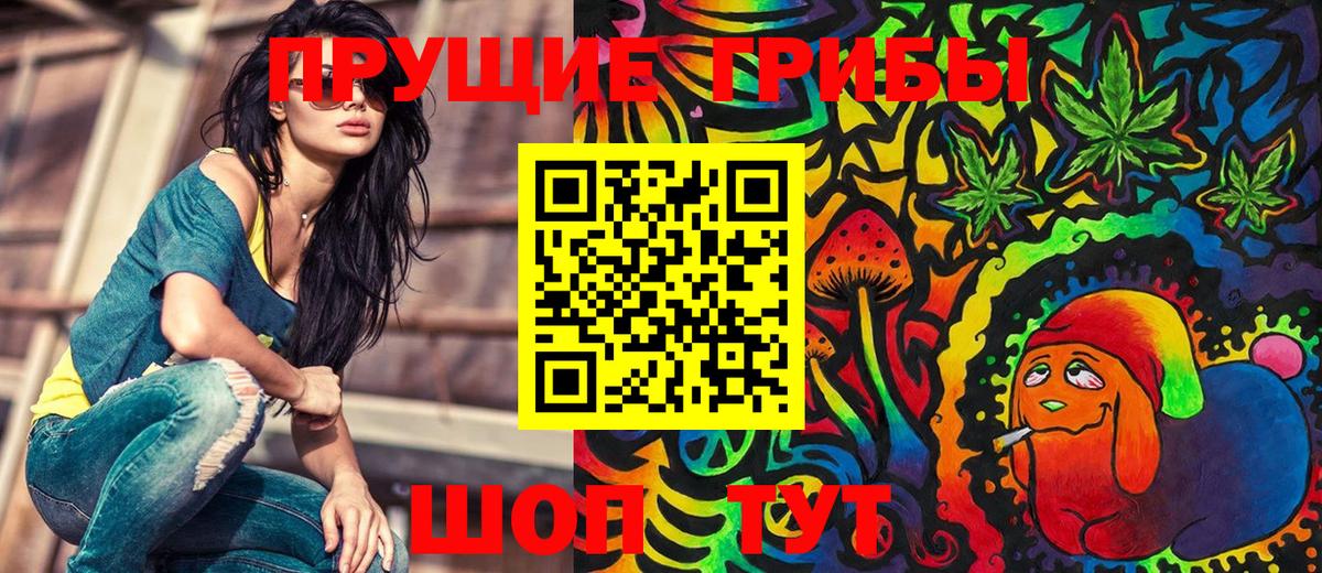 Псилоцибиновые грибы ЛСД Кудымкар