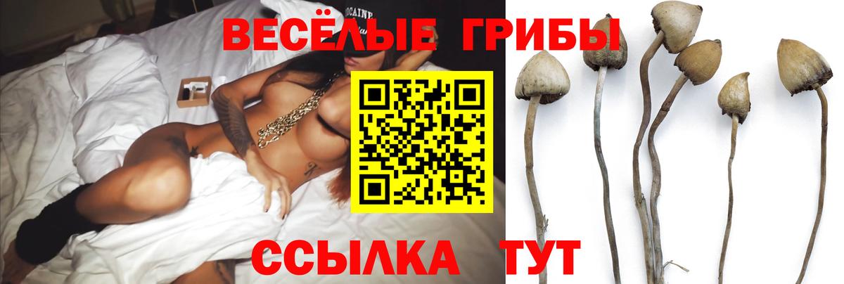 Кудымкар  Галлюциногенные грибы прущие грибы  Галлюциногенные грибы ЛСД  Вход с VPN 